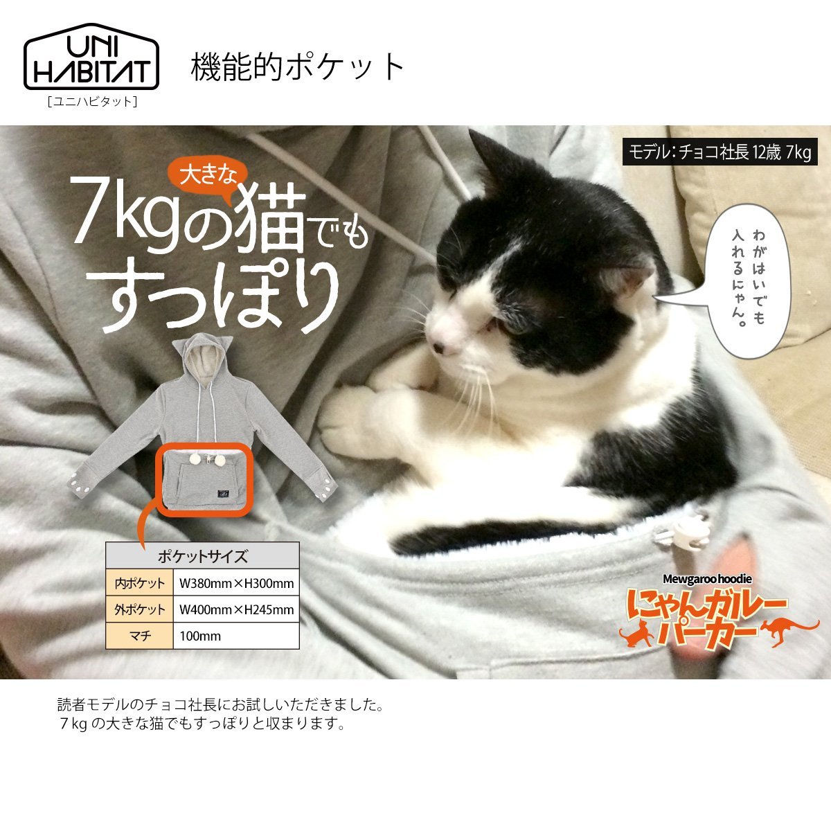 Click to maximize